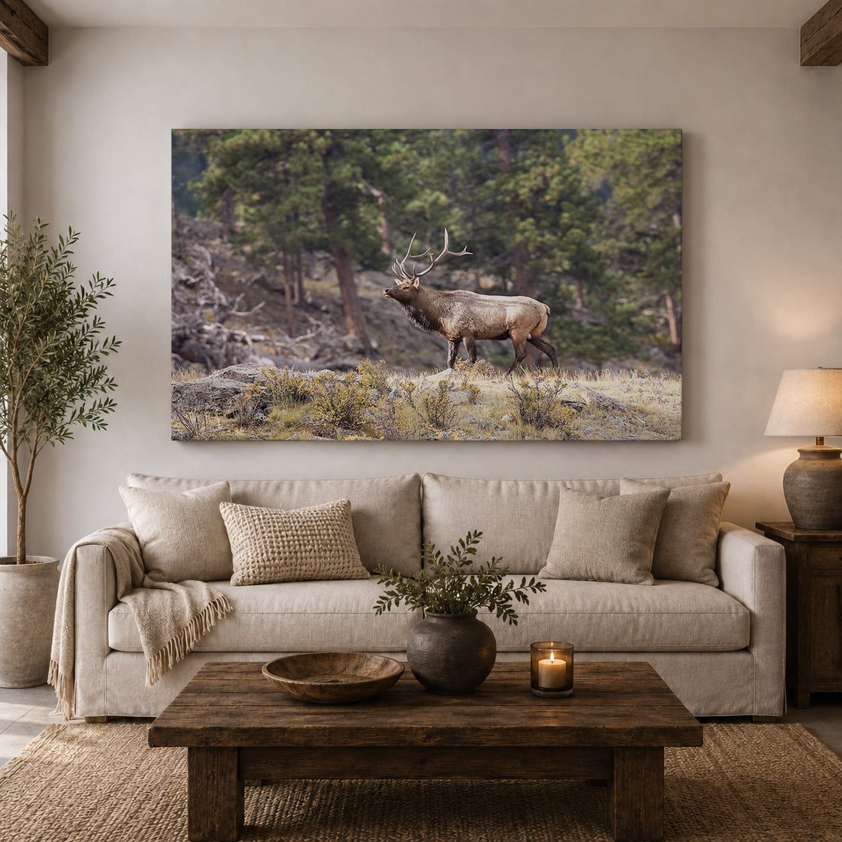 Majestic Bull Elk in the Rocky Mountains