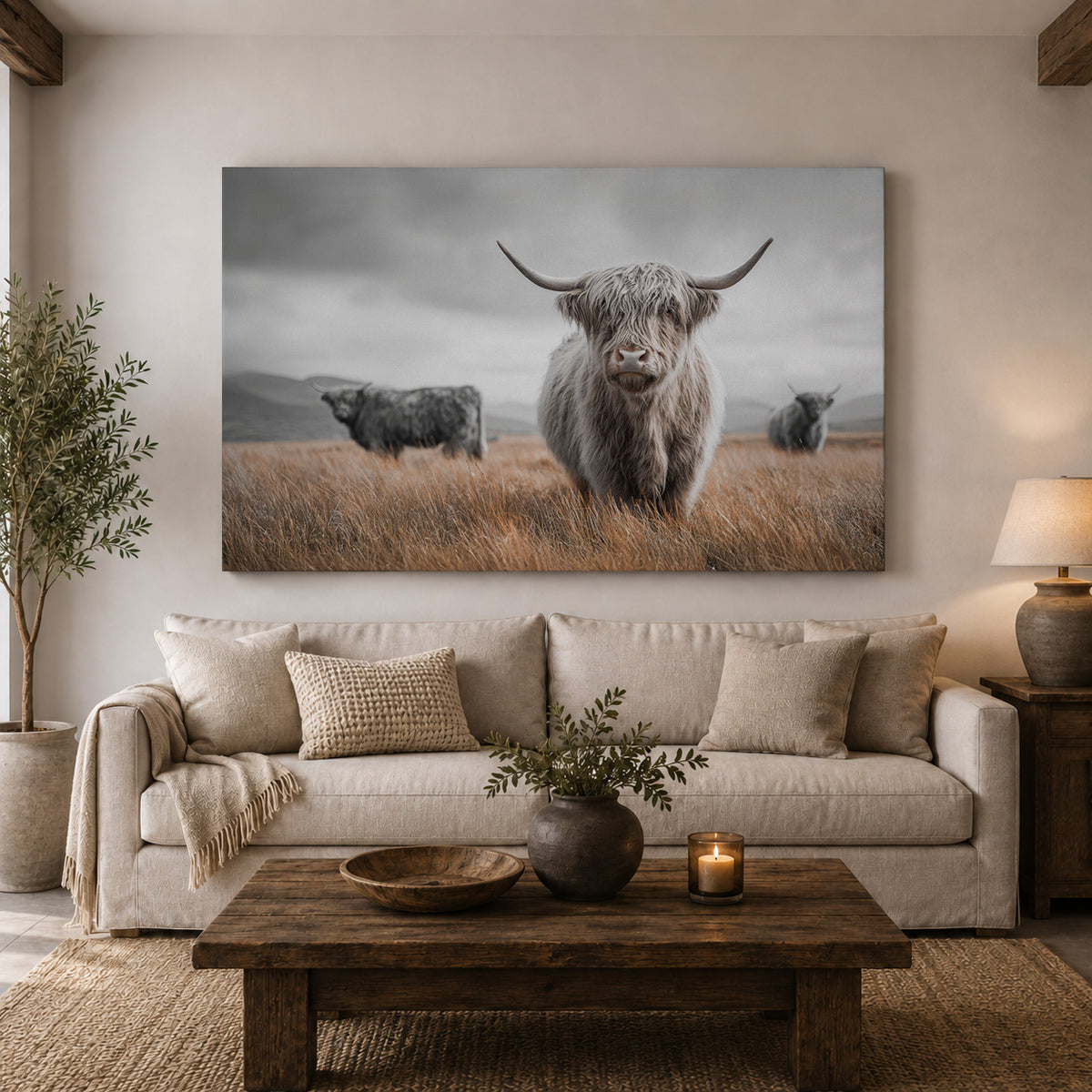 Highland Cattle in the Scottish Highlands