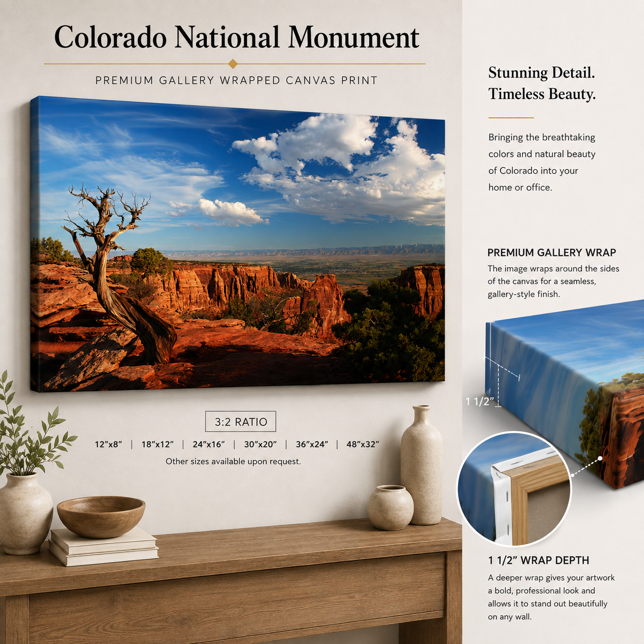 Colorado National Monument Juniper Tree