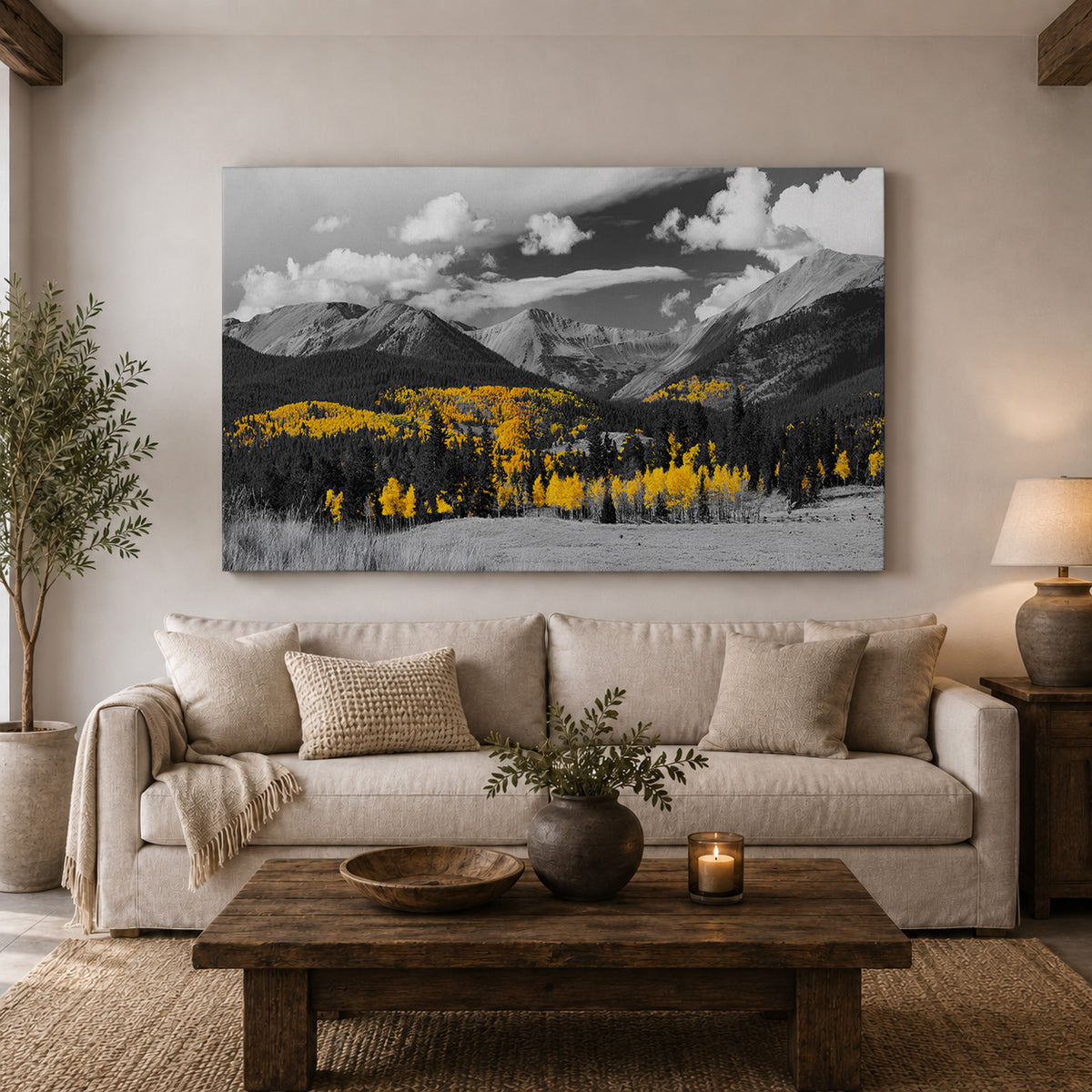 Autumn in Gold — Black & White Colorado Aspens
