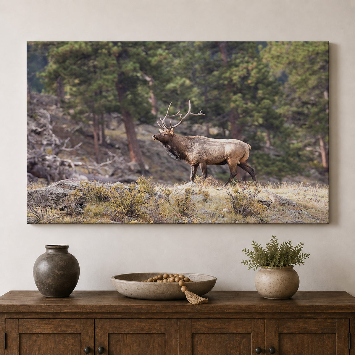 Majestic Bull Elk in the Rocky Mountains