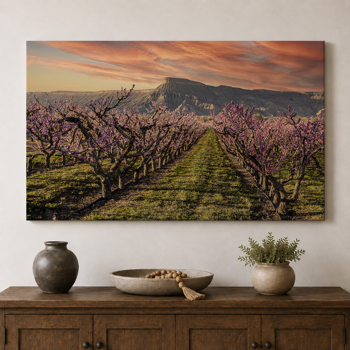Palisade in Bloom — Mount Garfield & Peach Orchards