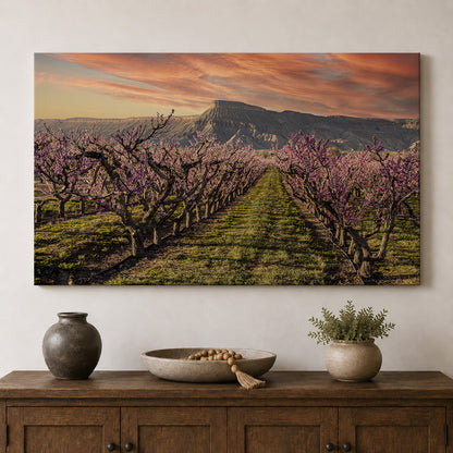 Palisade in Bloom — Mount Garfield & Peach Orchards