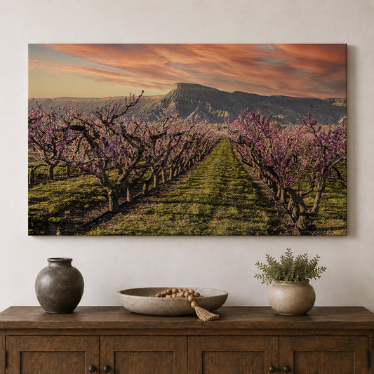 Palisade in Bloom — Mount Garfield & Peach Orchards