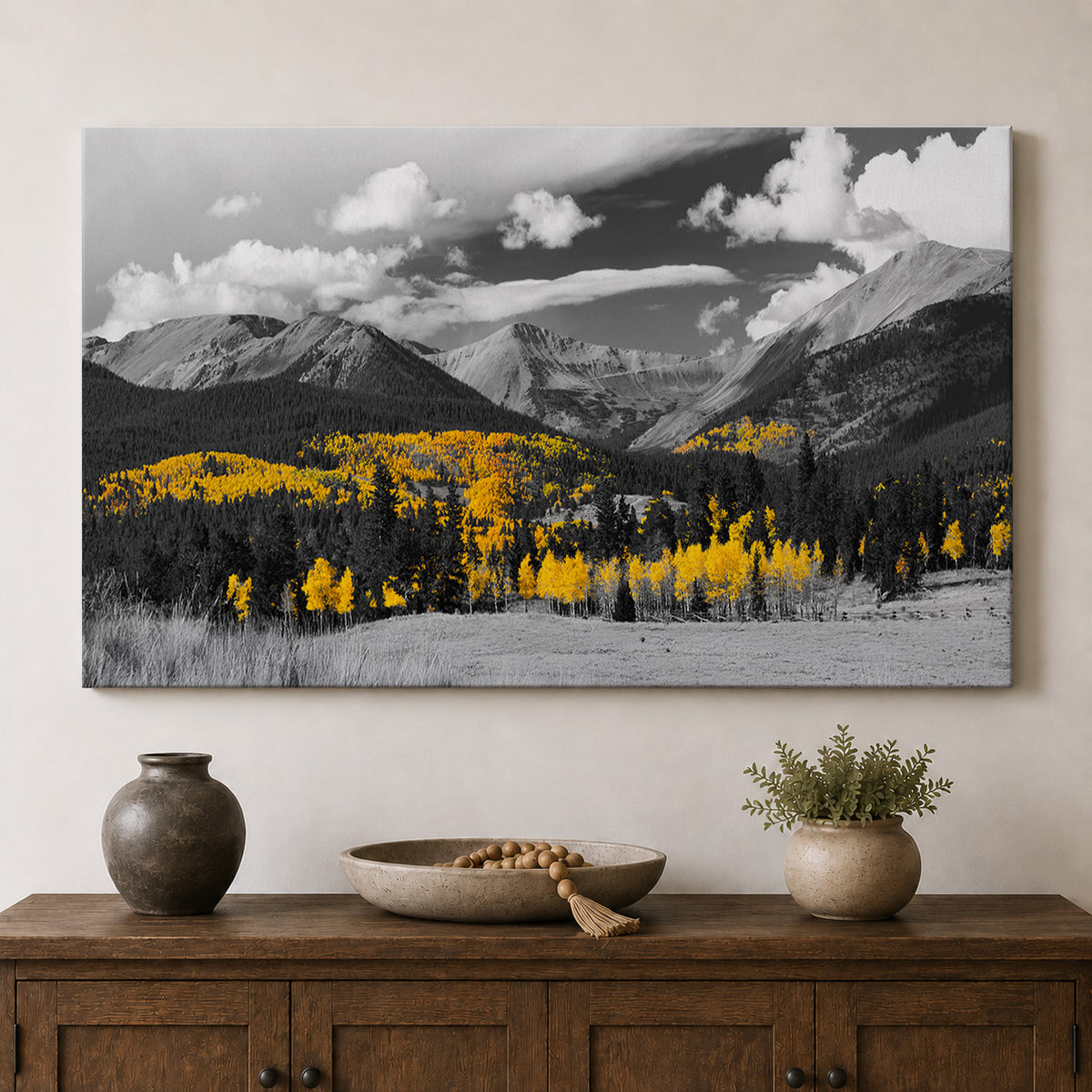 Autumn in Gold — Black & White Colorado Aspens