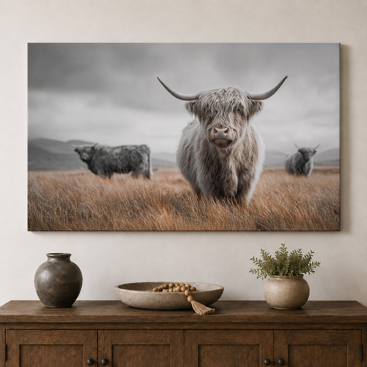 Highland Cattle in the Scottish Highlands