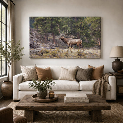 Majestic Bull Elk in the Rocky Mountains
