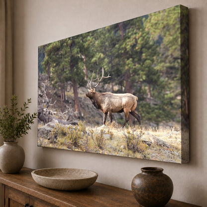 Majestic Bull Elk in the Rocky Mountains