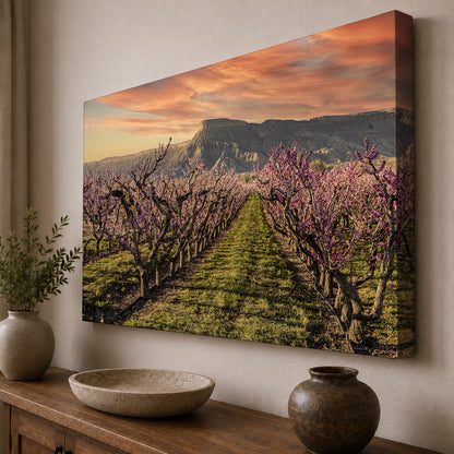 Palisade in Bloom — Mount Garfield & Peach Orchards