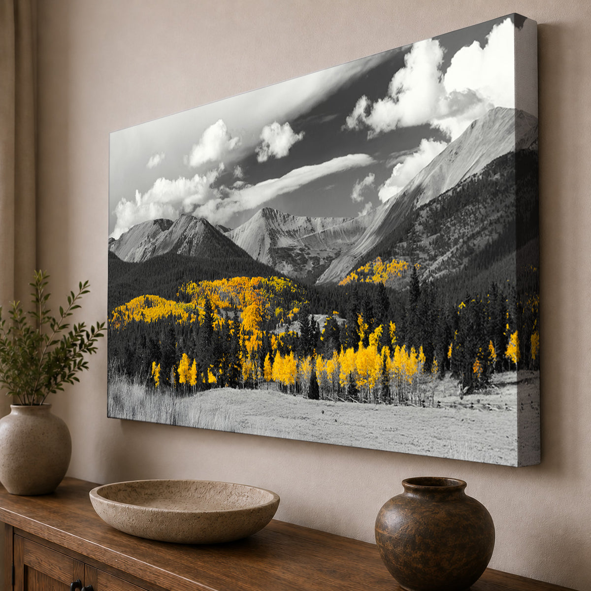 Autumn in Gold — Black & White Colorado Aspens