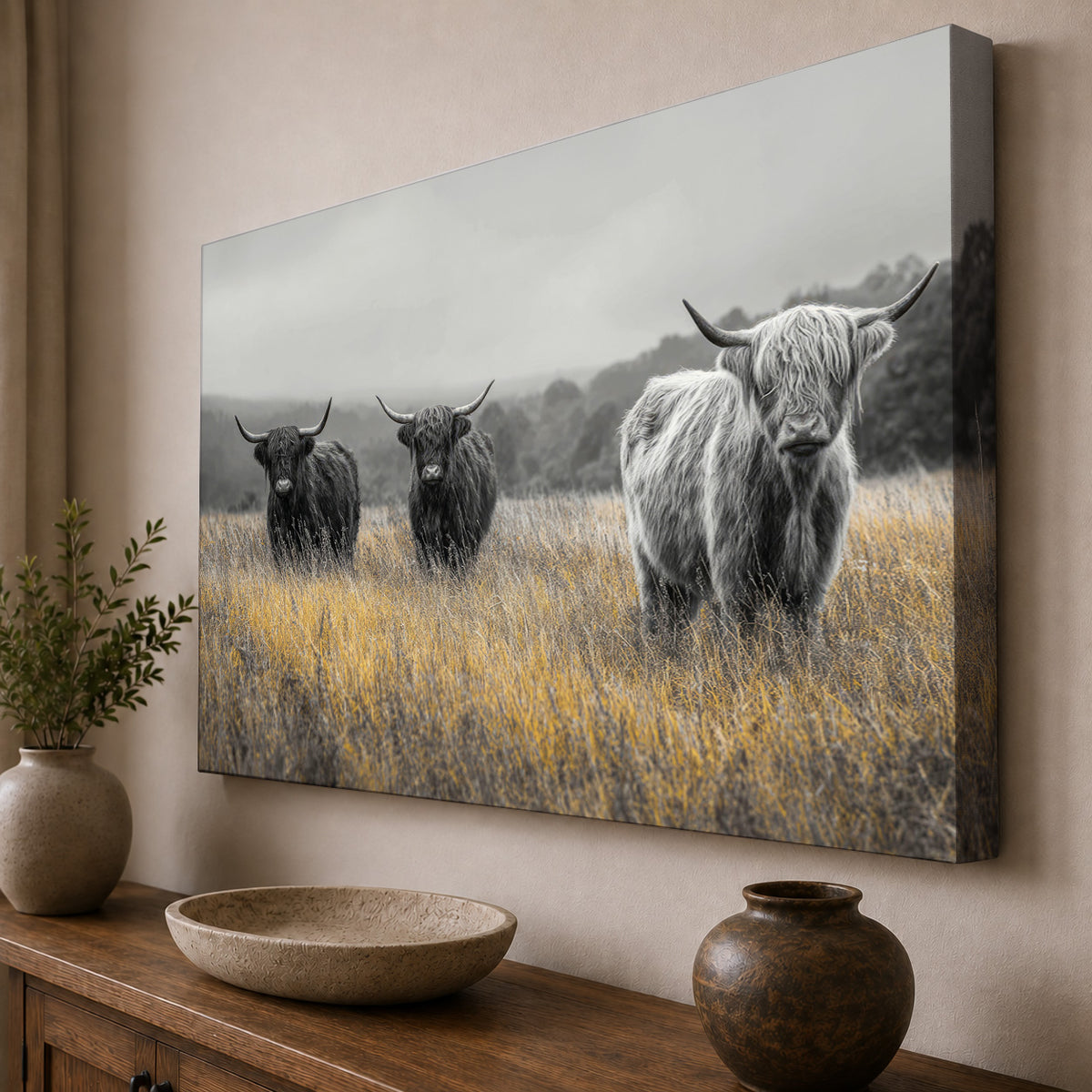 Highland Cattle in a Golden Meadow
