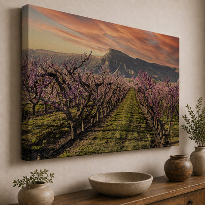 Palisade in Bloom — Mount Garfield & Peach Orchards
