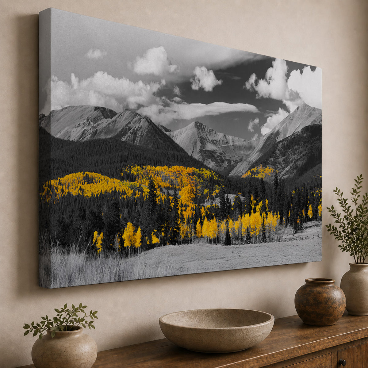 Autumn in Gold — Black & White Colorado Aspens