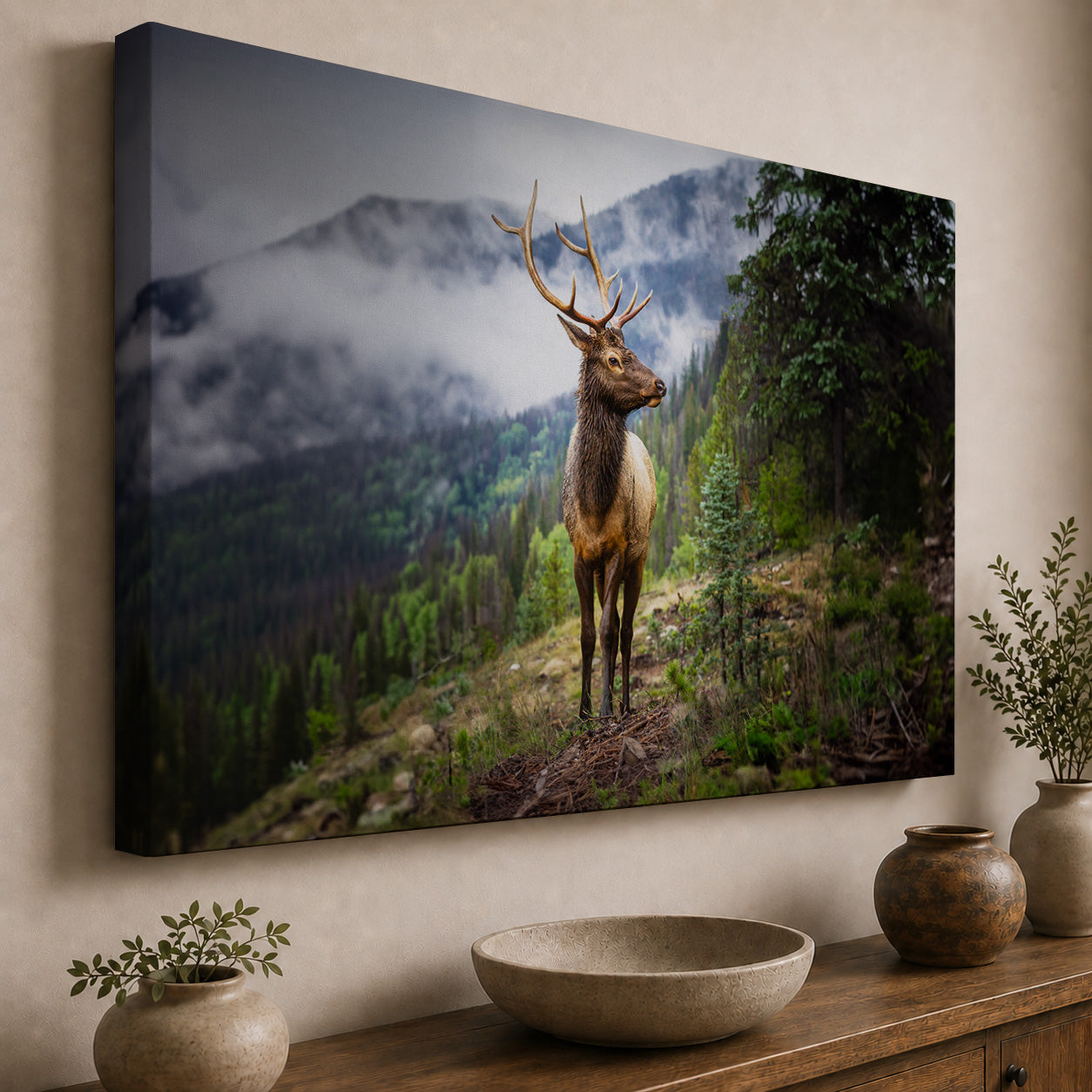 Majestic Mountain Elk