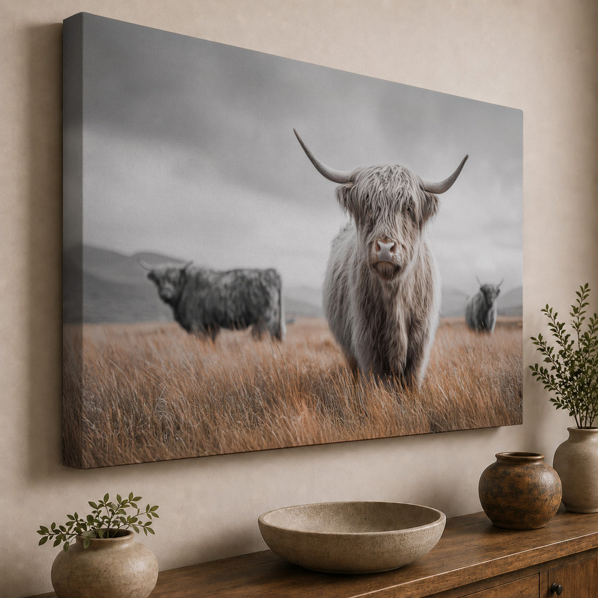 Highland Cattle in the Scottish Highlands