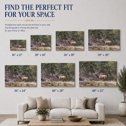 Majestic Bull Elk in the Rocky Mountains