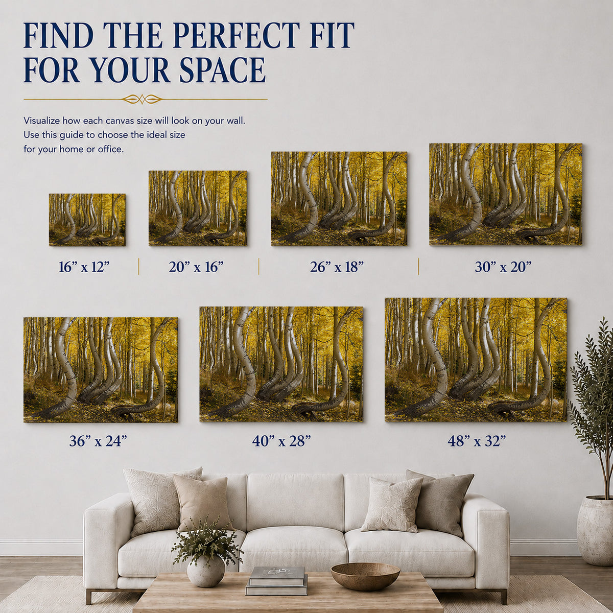 Dancing Aspens — Golden Autumn in Colorado