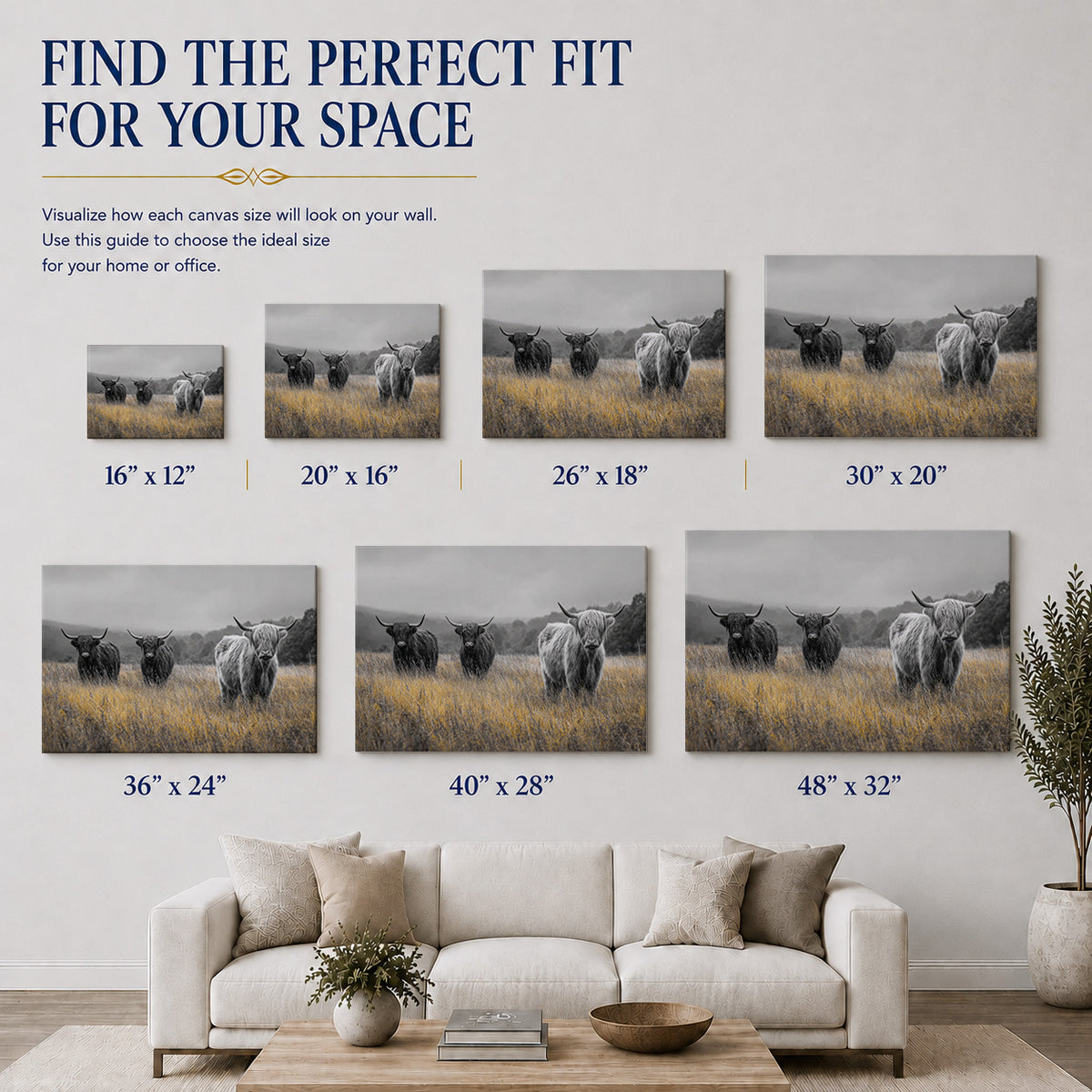 Highland Cattle in a Golden Meadow