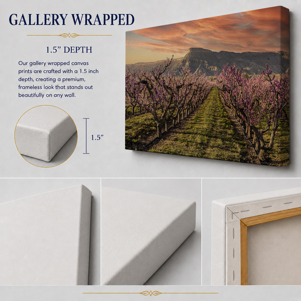 Palisade in Bloom — Mount Garfield & Peach Orchards