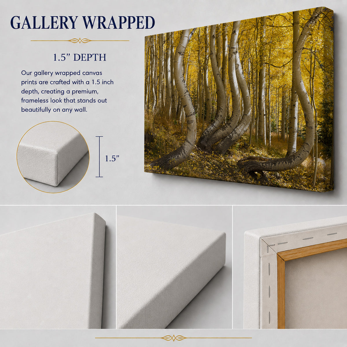 Dancing Aspens — Golden Autumn in Colorado