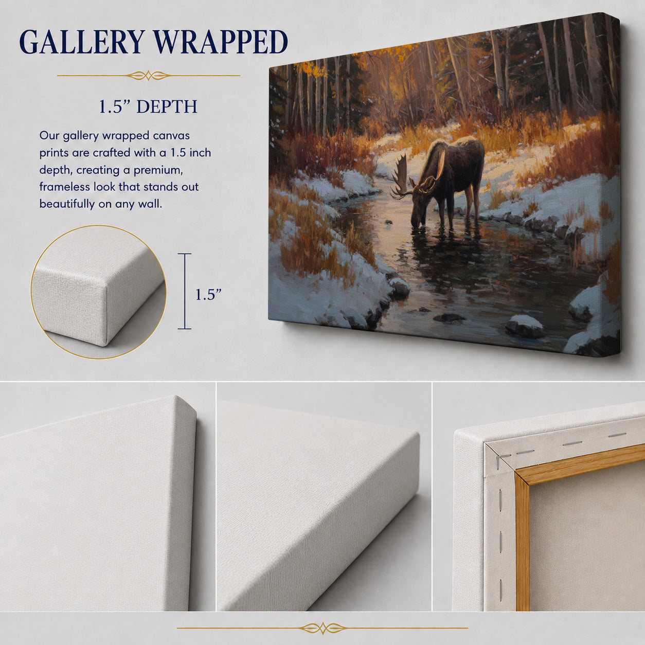 Autumn Creek Moose