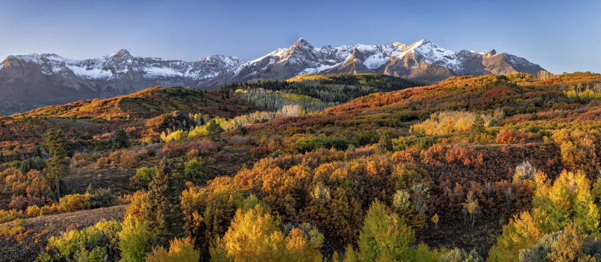 Autumn at Dallas Divide — Colorado Sneffels Range