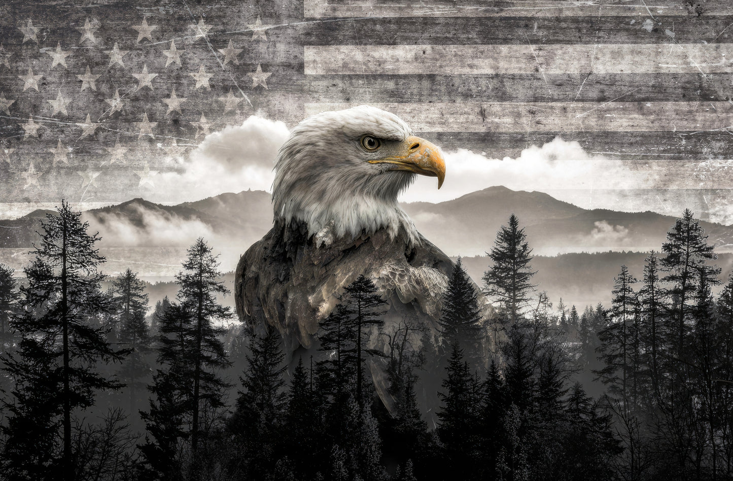 Eagle of The American Spirit