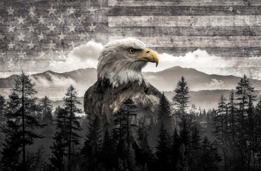 Eagle of The American Spirit