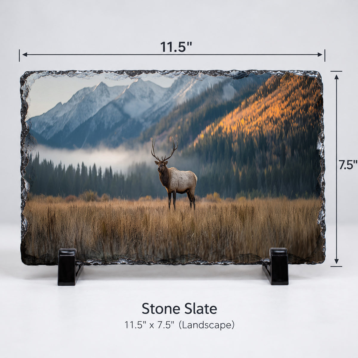 Majestic Bull Elk in an Autumn Mountain Valley - Stone Print